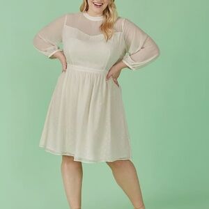 Sheerly Blessed In Bliss Fit and Flare Dress